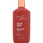Thanks To Nature Volume Boost Conditioner With Biotin 500ml